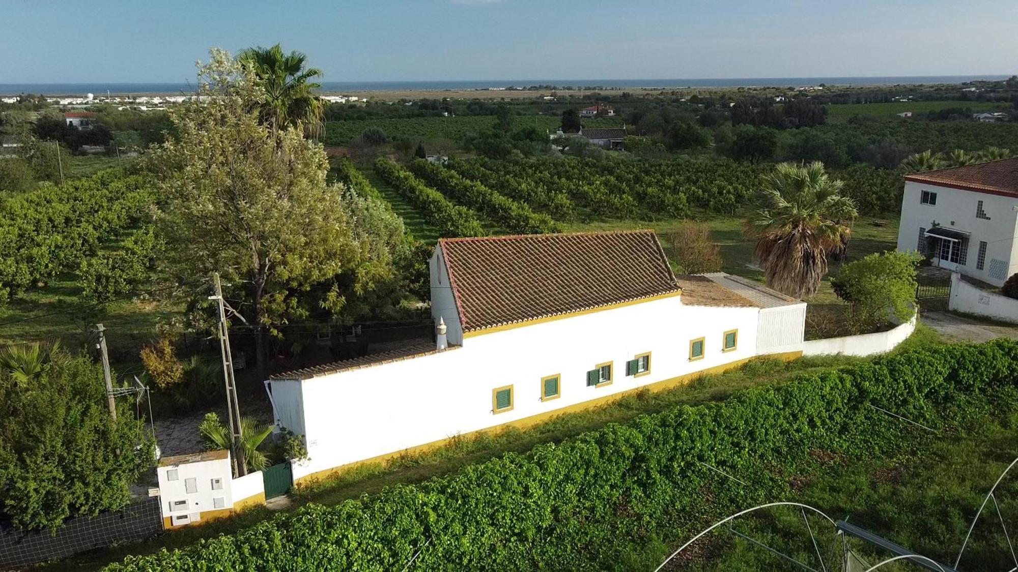 Quinta Rosa Branca Hotel Tavira Buitenkant foto